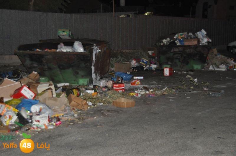 trash lud 907 (50).JPG